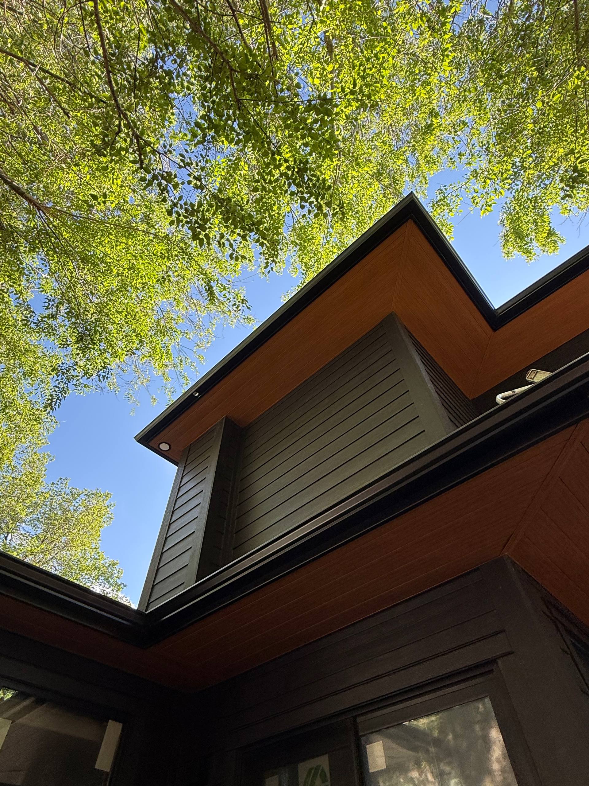 Looking up at black eavestrough and fascia under deep overhangs framed by elm branches