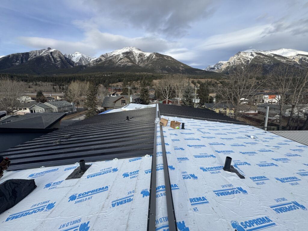 Metal Roofing project 1
